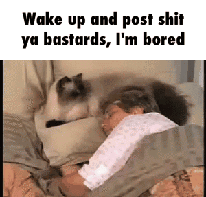 Im bored GIF - Find on GIFER