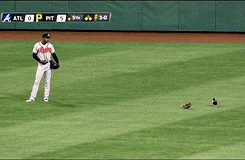 Braves mlb reblog GIF - Find on GIFER