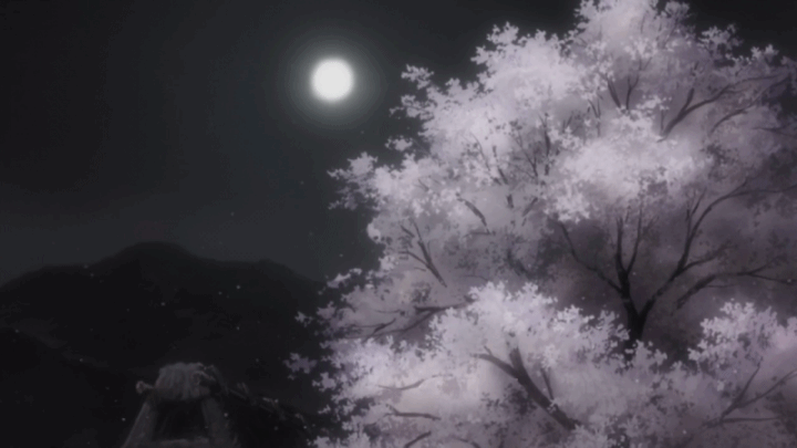 Cherry blossom 🌸 | Anime Amino