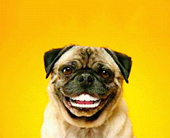 Keep Smiling Gifs Get The Best Gif On Gifer