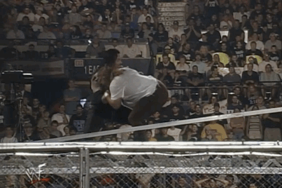 Wwe hell in a cell GIF - Find on GIFER