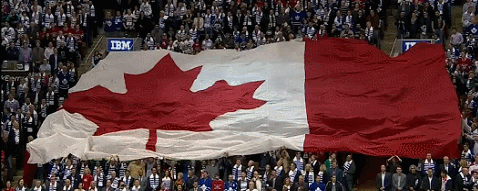 GIF canada day actually me today though - animated GIF on GIFER