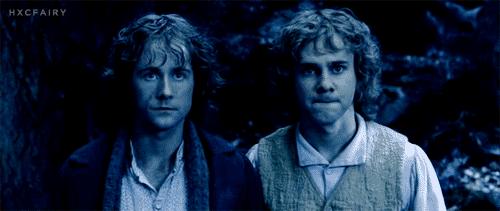 Pippin Herr Der Ringe Gif Pippin Gifs Page 3 | WiffleGif