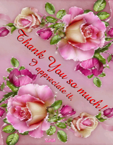 Much Gif Find On Gifer