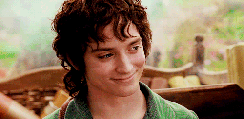Frodo GIF - Find on GIFER