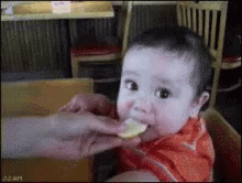 Baby Citron Gif Find On Gifer