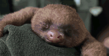 UTtL.gif
