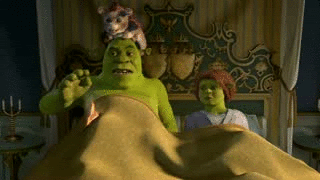 Shrek gata gatinho GIF - Encontrar em GIFER