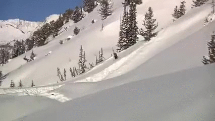 Guy bed GIF Find on GIFER