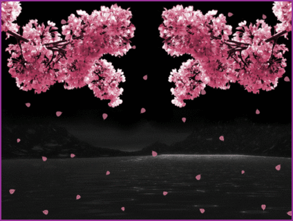 GIF cherry blossom - animated GIF on GIFER