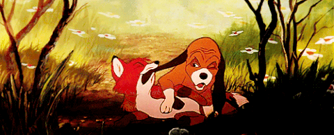 Гифка лис и пес гиф картинка, скачать gif на GIFER