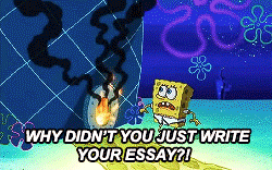 spongebob essay the gif