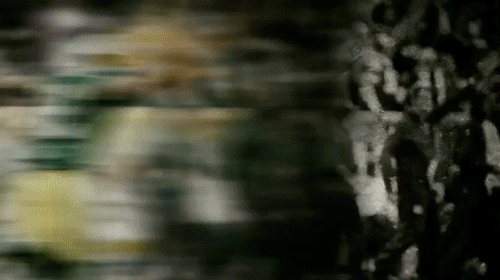 Green Bay Packers Aaron Rodgers Packers Gif Find On Gifer