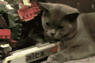 GIF no way - animated GIF on GIFER