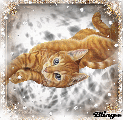 Gif Baby Kitten Animated Gif On Gifer Gif Baby Kitten Animated Gif On Gifer