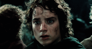 GIF lord of the rings - animated GIF on GIFER