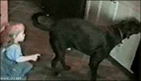 Umii.gif