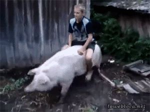 UxGt.gif