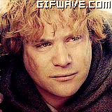 Fellowship of the ring GIF - Find on GIFER
