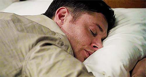 Durmiendo GIF - Encontrar en GIFER