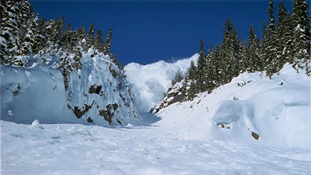 Colorado avalanche GIF - Find on GIFER