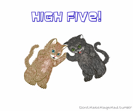 kitten high five gif