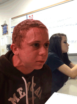 VIce.gif