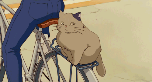 Bicycle ghibli cat GIF on GIFER - by Keriel