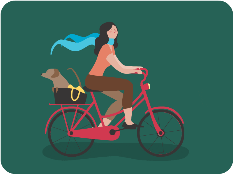 Biking cachorro GIF on GIFER - by Hugigamand