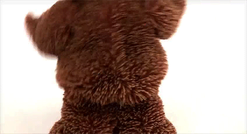 One direction dancing bear teddy bear GIF - Find on GIFER
