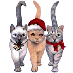 Cat christmas holidays GIF on GIFER - by Zulkibar