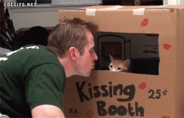 Kissing Booth S Embrassent Embrasser Gif Trouver Sur Gifer