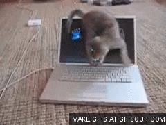 Computer GIF - Find on GIFER