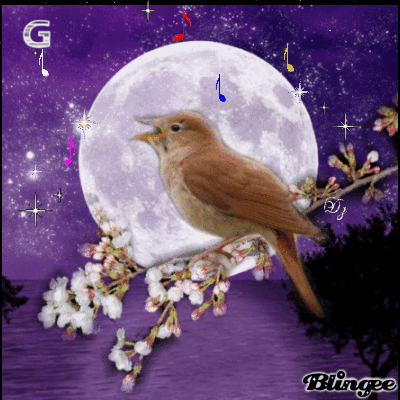 Птицы поющие вечером. Соловей ночью. Доброй ночи соловьи. Спокойной ночи Соловей.