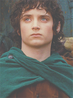 Fellowship of the ring GIF - Find on GIFER
