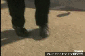 VlGh.gif