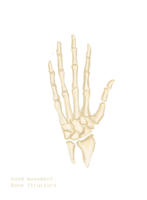 Hand GIF - Find on GIFER