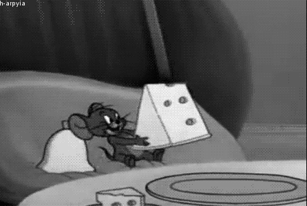 GIF eat cat fun - animated GIF on GIFER