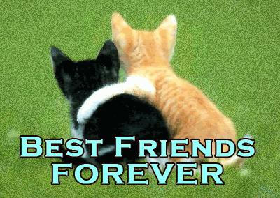 Bff forever GIF on GIFER - by Macage
