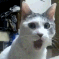 VnL7.gif