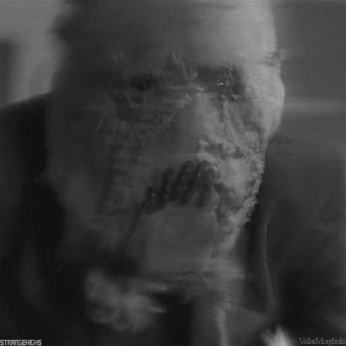 Hình hài hước... Nhiều thể loại vui nhôn