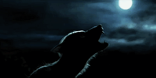 Screen mobile GIF - Find on GIFER