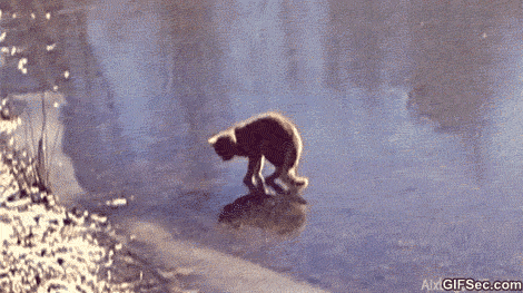 Ice Gif Find On Gifer