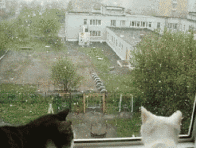 Animated GIF kiss,