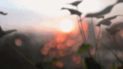 W7sg.gif
