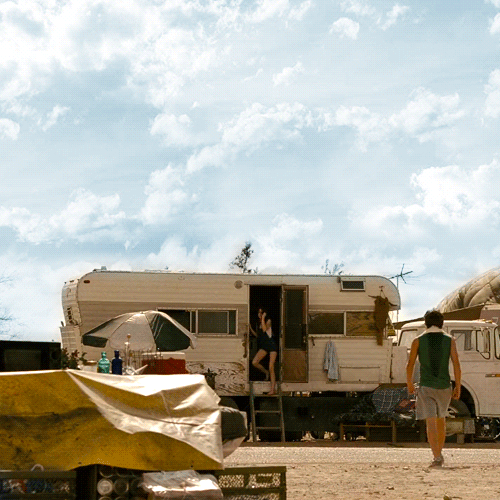 Into the wild GIF Find on GIFER