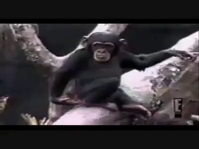 Uh Oh Stinky GIF - Uh Oh Stinky Monkey - Discover & Share GIFs