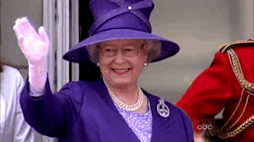 People comments everything GIF - Find on GIFER