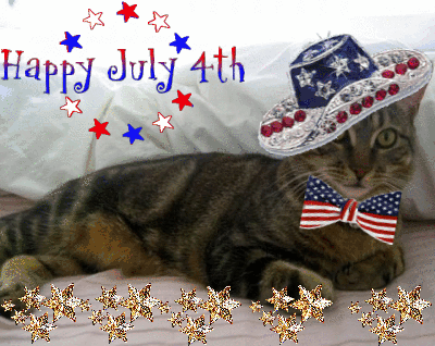 4th of july GIF - Find on GIFER