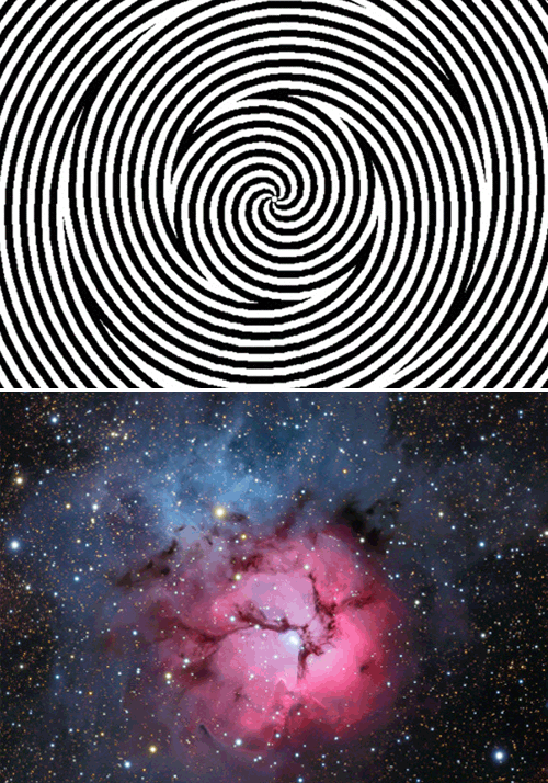 Stare whoa GIF Find on GIFER